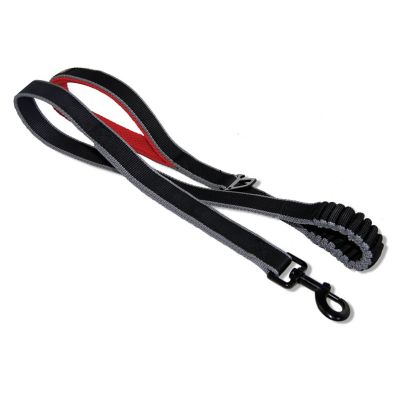 Kurgo Springback Leash for Dogs, Dog Bungee Leash