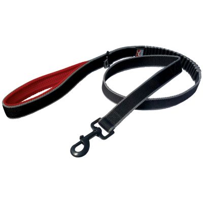 Image showing  Springback Bungee Dog Leash