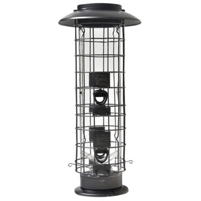 squirrel proof bird feeder tractor supply