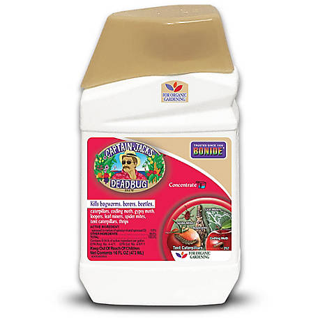 Bonide Captain Jack's Deadbug Brew, 16 oz Concentrate Outdoor Insecticide and Mite Killer for Organic Gardening