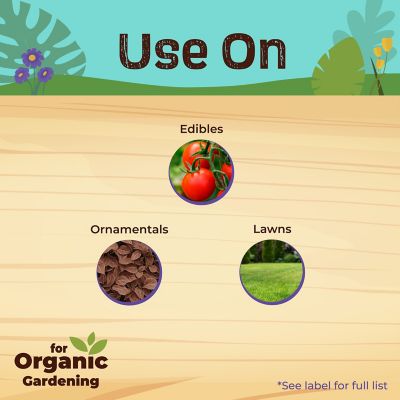 Image showing  16 oz. Captain Jack's Deadbug Brew, Concentrate Outdoor Insecticide and Mite Killer for Organic Gardening