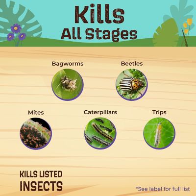 Image showing  16 oz. Captain Jack's Deadbug Brew, Concentrate Outdoor Insecticide and Mite Killer for Organic Gardening