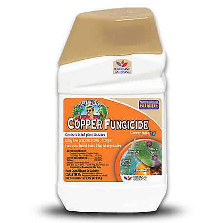 Bonide Captain Jack's Copper Fungicide, 16 oz Concentrated Plant Disease Control Solution for Organic Gardening