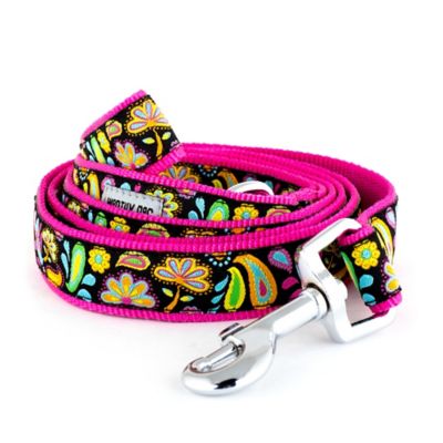 Worthy Dog Floral Paisley Nylon Dog Lead, 1 in. x 5 ft.