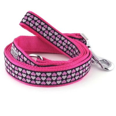 Worthy Dog Hearts Nylon Dog Lead, 5/8 in. x 5 ft.