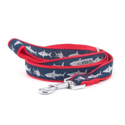 Worthy Dog Jaws Nylon Dog Lead, 1 in. x 5 ft.