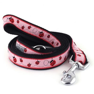 Worthy Dog Ladybug Nylon Dog Lead, 5/8 in. x 5 ft.