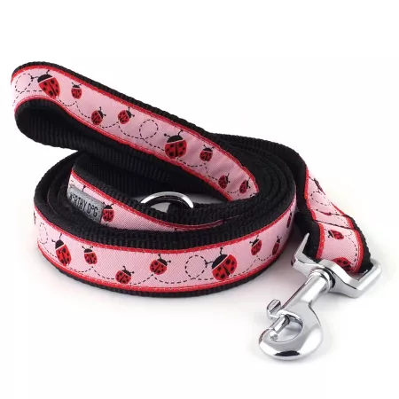 Worthy Dog Ladybug Dog Leash 5/8 in x 5 ft. Dog Basic Leashes