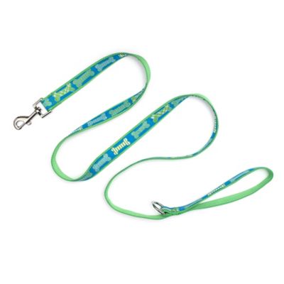 Image showing  Preppy Bones Nylon Dog Lead