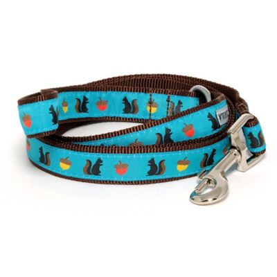 Worthy Dog Squirrelly Dog Lead, 5/8 in. x 5 ft.