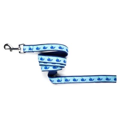 Image showing  Squirt Nylon Dog Lead, 1 in. x 5 ft.