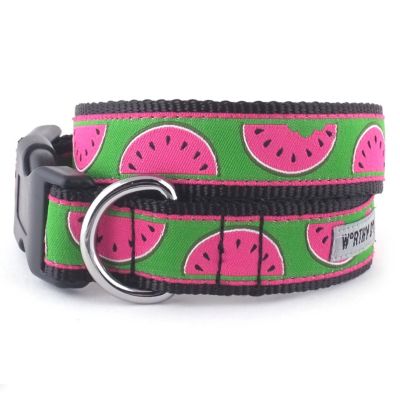 watermelon dog harness