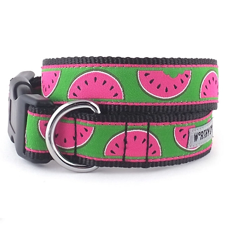 Worthy Dog Adjustable Watermelon Dog Collar