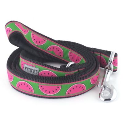 Worthy Dog Watermelon Nylon Dog Lead, 5/8 in. x 5 ft.