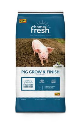 Kent Home Fresh Grow and Finish Pig Feed-50 lb. bag