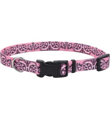 Retriever Adjustable Fashion Dog Collar, Small, Pink