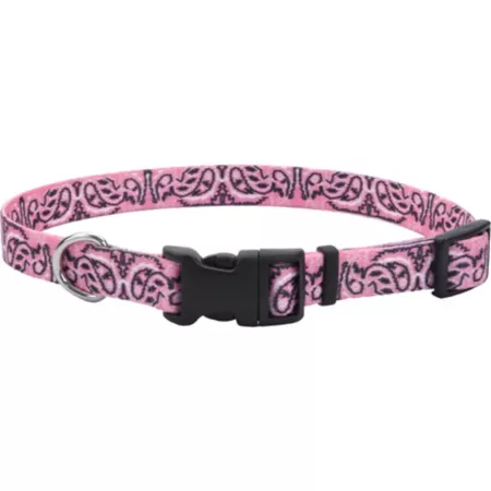 Fashion Adjustable Retriever Dog Collar Small Pink Dog Basic Collars