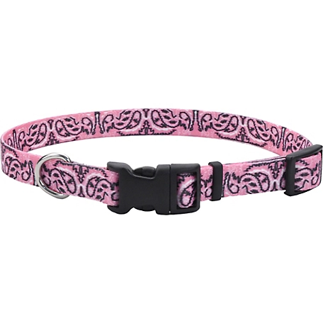 Retriever Adjustable Fashion Dog Collar, Small, Pink