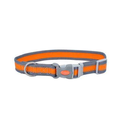 Retriever Reflective Adjustable Padded Dog Collar