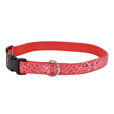 Image showing  Adjustable Ribbon Overlay Dog Collar