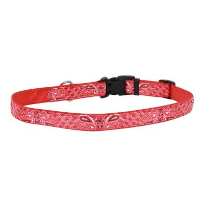 Image showing  Adjustable Ribbon Overlay Dog Collar