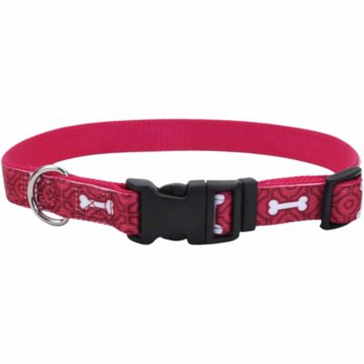 Retriever 5/8 in. Ribbon Overlay Collar with Plastic Buckle