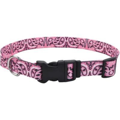 Retriever 1 in. Fashion Collar, Bright Pink