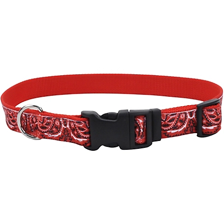 Retriever Adjustable Ribbon Overlay Dog Collar