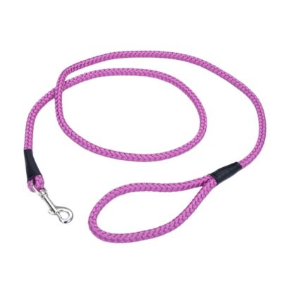 Retriever Rope Snap Dog Leash