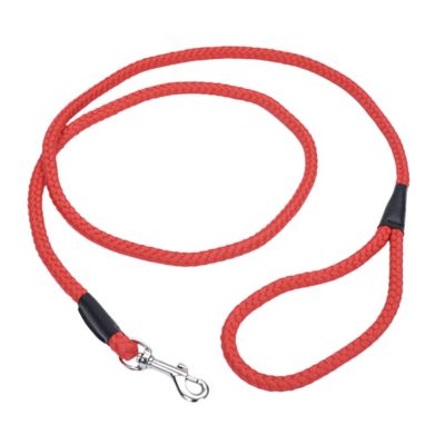 Retriever Rope Snap Dog Leash