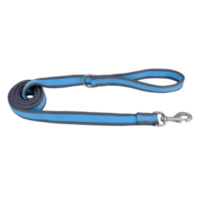 Retriever Dog Leash with Reflective Stitching