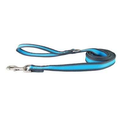 Image showing  Reflective Polyester Dog Leash