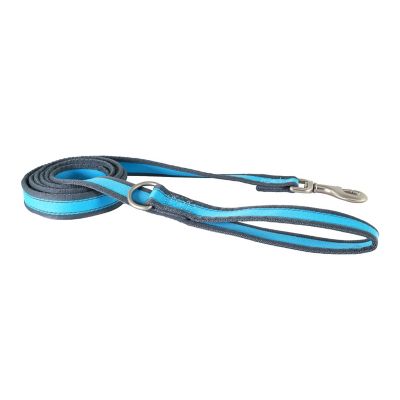 Image showing  Reflective Polyester Dog Leash