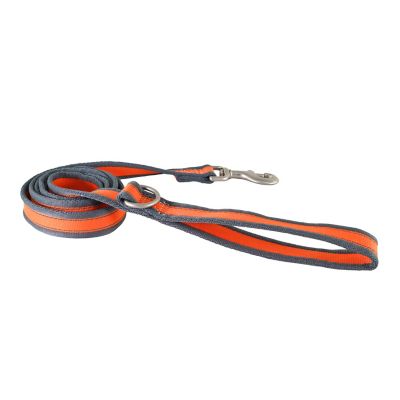 Image showing  Reflective Polyester Dog Leash