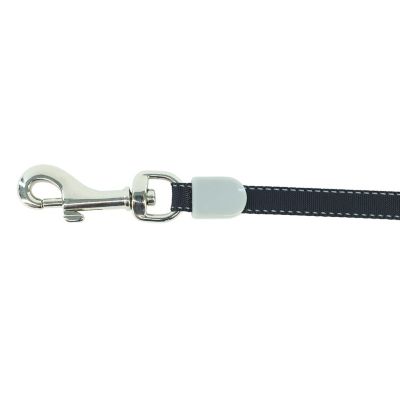 Image showing  Retractable Polyester Dog Leash