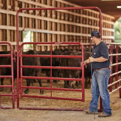 Tarter 62 in. x 96 in. Extra Heavy-Duty Bullmax Walk-Thru Corral Gate with 4 ft. Arch, Red