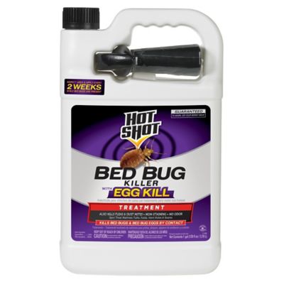 Hot Shot 1 gal. Bed Bug and Flea Killer