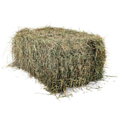 3-String Grass Mix Bale