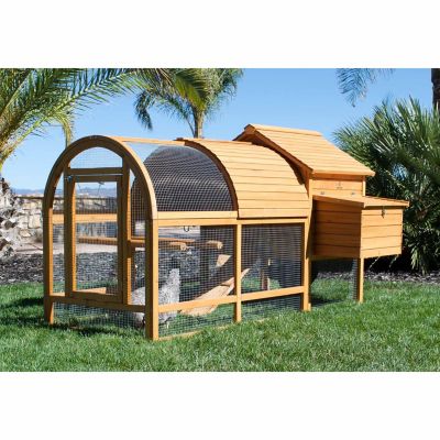 Rugged Ranch Chicken Coop - Rugs Ideas