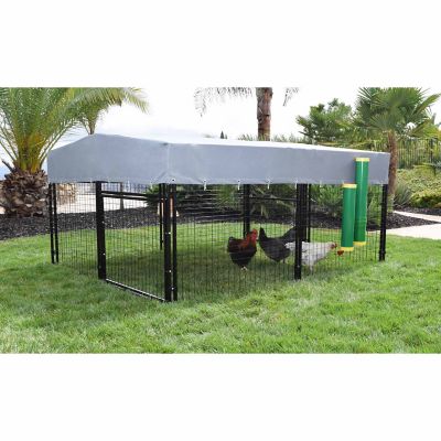 Image showing  10 lb. High-End Hen Chicken Feeder