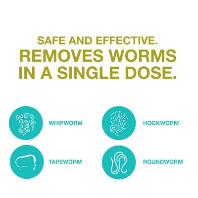 Image showing 7 th Quad Dewormer Anthelmintic Chewable Tablets for Dogs