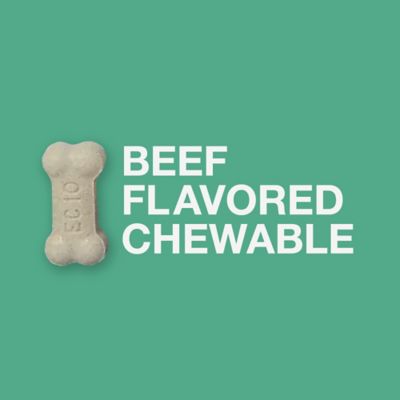 Image showing 5 th Quad Dewormer Anthelmintic Chewable Tablets for Dogs