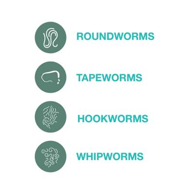 Image showing 8 th Quad Dewormer Anthelmintic Chewable Tablets for Dogs