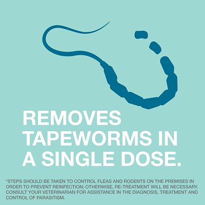 Image showing  Tapeworm Dewormer Tablets for Cats, 3 ct.