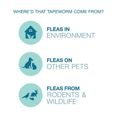 Image showing 9 th Elanco Tapeworm Dewormer Tablets for Cats, 3 ct.