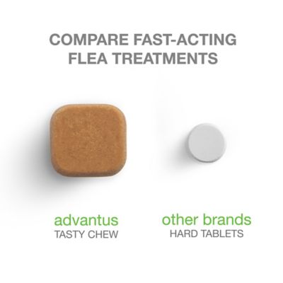 Image showing  Soft Chewable Flea Control Supplements for Small Dogs, 7.5 mg, 7-Pack