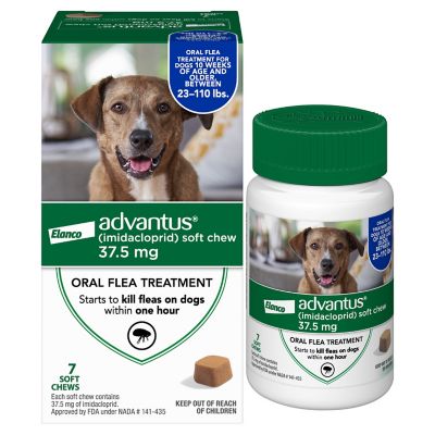 Advantus Soft Chewable Flea Control Supplements for Large Dogs 37.5 mg 7 Pack at Tractor Supply Co