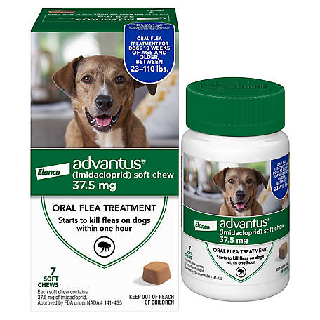 Advantus Flea Control Soft Chews for Large Dogs, 37.5 mg