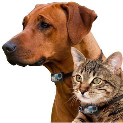 Image showing 5 th High Tech Pet Power Patio Panel for Sliding Glass Pet Door Installations, Low E, Regular Height, Large Opening