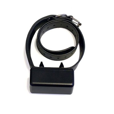 Image showing  1/2 Mile Express Trainer Remote Dog Radio Training Collar Kit